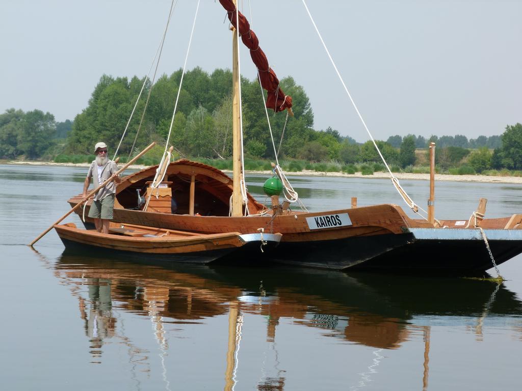 Les Gites De Colliers Muides-sur-Loire Esterno foto