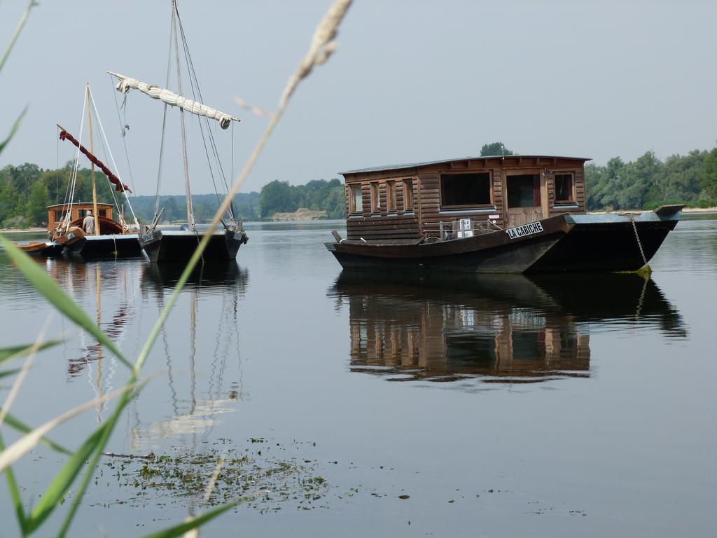Les Gites De Colliers Muides-sur-Loire Esterno foto
